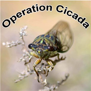 Cicada_Tile