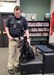 PDdog_1