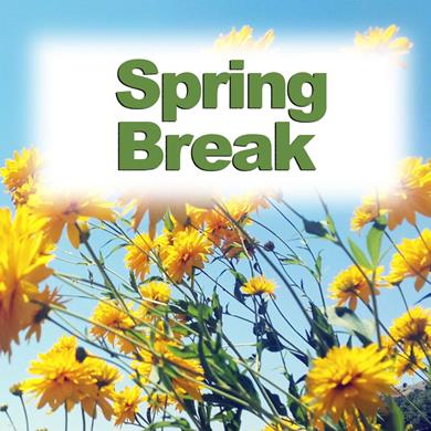 Spring_Break_Tile