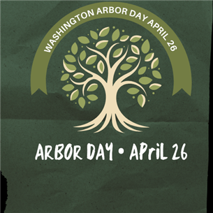 Arbor_Day_Washington_042624